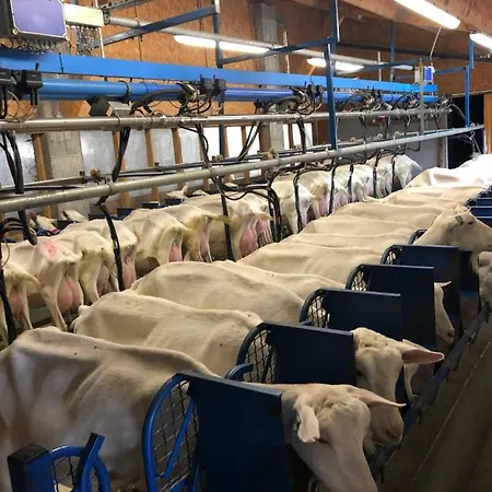 Duplex 6 A 8 Couchages Calme Avec Solarium Plein Sud